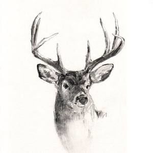 Meet your Posher, Paul